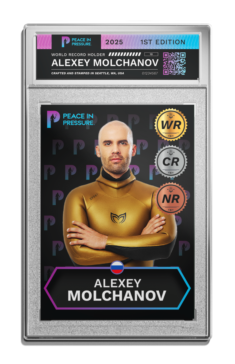 PIP_Sample_Front Alexey Molchanov